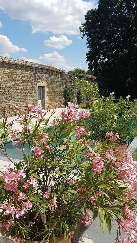 L'annexe Du Plessis Bochard * Saint-Pierre-des-Nids